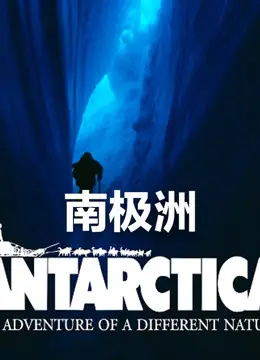 《南极洲》：一场去看哺乳的极致冒险，飘零影院带你体验极寒！