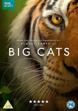 《大猫》：不是你想的那样！这家伙才是真正的终极高手！